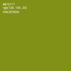 #819117 - Hacienda Color Image