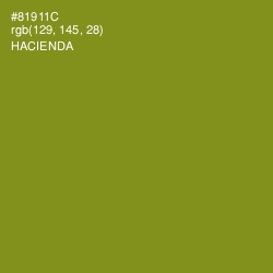 #81911C - Hacienda Color Image