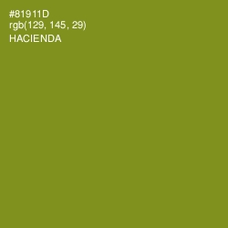 #81911D - Hacienda Color Image