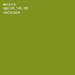 #81911E - Hacienda Color Image