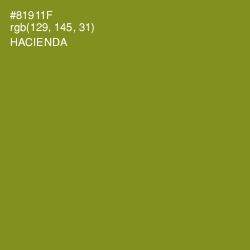 #81911F - Hacienda Color Image