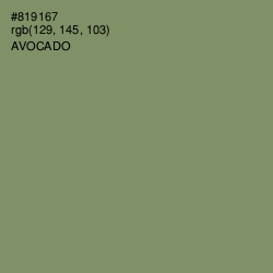 #819167 - Avocado Color Image