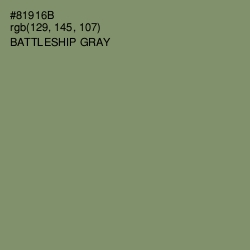 #81916B - Battleship Gray Color Image