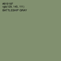 #81916F - Battleship Gray Color Image