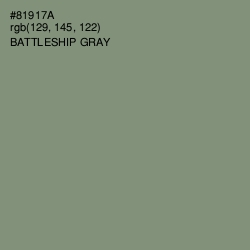 #81917A - Battleship Gray Color Image