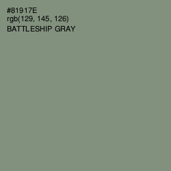 #81917E - Battleship Gray Color Image