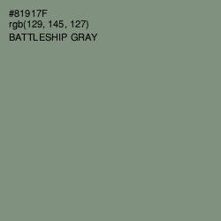 #81917F - Battleship Gray Color Image