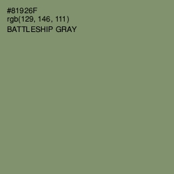 #81926F - Battleship Gray Color Image
