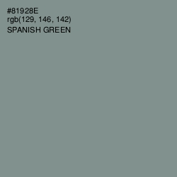 #81928E - Spanish Green Color Image