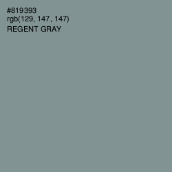 #819393 - Regent Gray Color Image