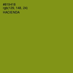 #819418 - Hacienda Color Image