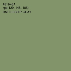 #81946A - Battleship Gray Color Image