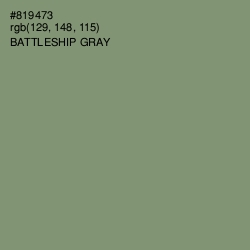 #819473 - Battleship Gray Color Image
