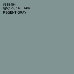 #819494 - Regent Gray Color Image