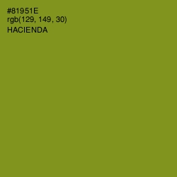 #81951E - Hacienda Color Image