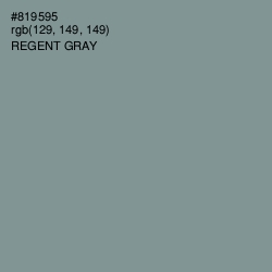 #819595 - Regent Gray Color Image