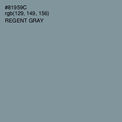 #81959C - Regent Gray Color Image