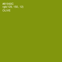 #81960C - Olive Color Image