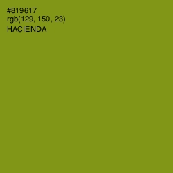 #819617 - Hacienda Color Image