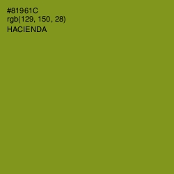 #81961C - Hacienda Color Image