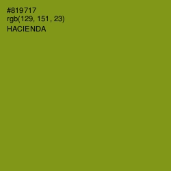 #819717 - Hacienda Color Image