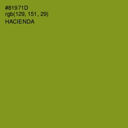 #81971D - Hacienda Color Image