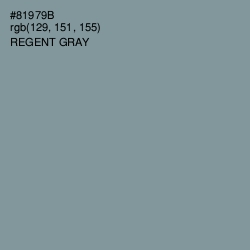 #81979B - Regent Gray Color Image