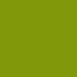 #81980A - Olive Color Image
