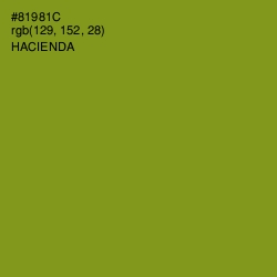 #81981C - Hacienda Color Image