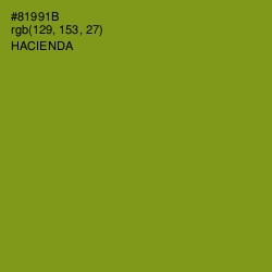 #81991B - Hacienda Color Image