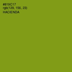 #819C17 - Hacienda Color Image