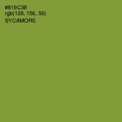 #819C38 - Sycamore Color Image