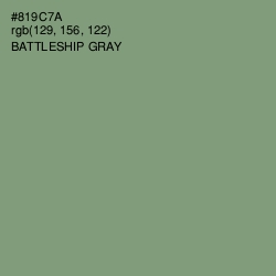 #819C7A - Battleship Gray Color Image