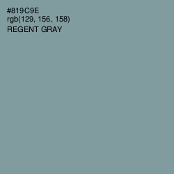 #819C9E - Regent Gray Color Image