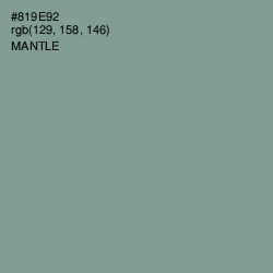 #819E92 - Mantle Color Image