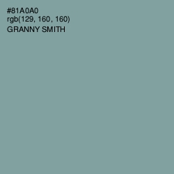 #81A0A0 - Granny Smith Color Image
