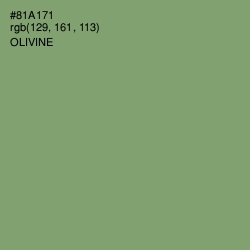 #81A171 - Olivine Color Image