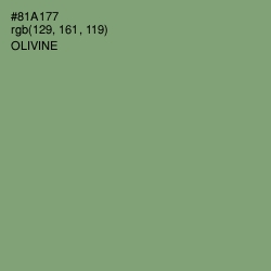 #81A177 - Olivine Color Image