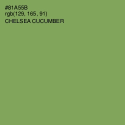 #81A55B - Chelsea Cucumber Color Image