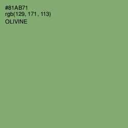 #81AB71 - Olivine Color Image
