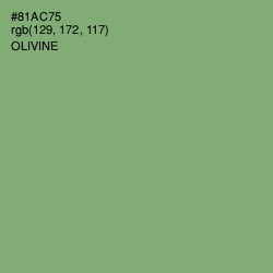 #81AC75 - Olivine Color Image