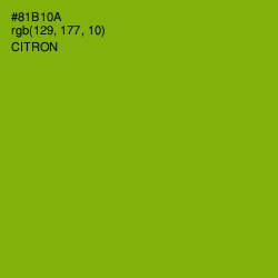 #81B10A - Citron Color Image