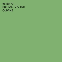 #81B170 - Olivine Color Image