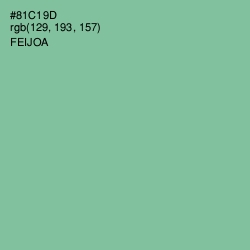 #81C19D - Feijoa Color Image