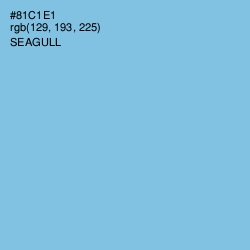 #81C1E1 - Seagull Color Image