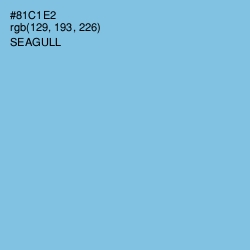 #81C1E2 - Seagull Color Image