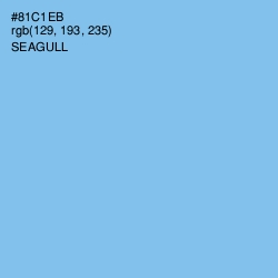 #81C1EB - Seagull Color Image