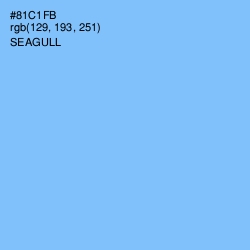 #81C1FB - Seagull Color Image