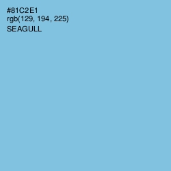 #81C2E1 - Seagull Color Image