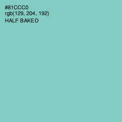 #81CCC0 - Half Baked Color Image